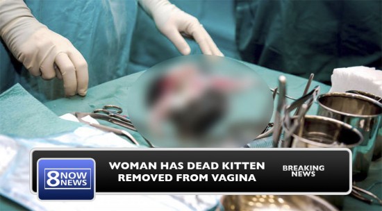 Woman Has Dead Kitten Removed From Vagina "I Just Wanted To Feel